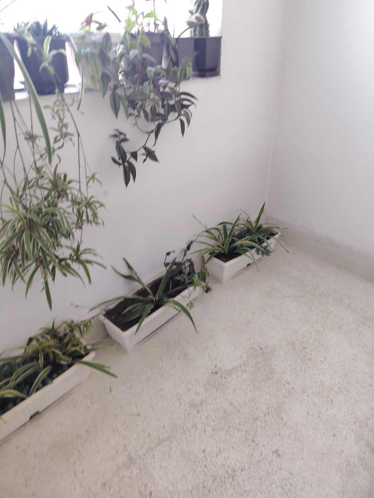 Viber Slika 2025-12-30 11-49-16-013